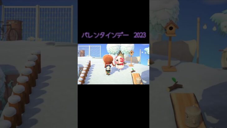 【あつ森】チョコあげまくり2023 #shorts #animalcrossing  #あつ森