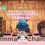 # 243【あつ森】（参加型）amiiboのSP住民から写真をもらってみよう　あつまれ！どうぶつの森  – Animal Crossing -【Switch】【LIVE】【ライブ配信中】【女性実況】