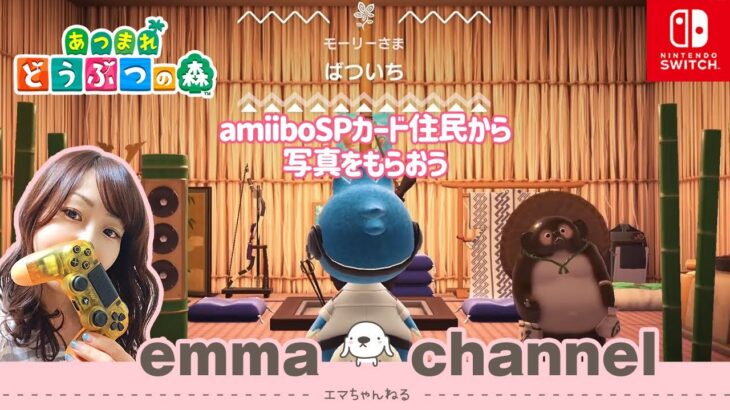 # 243【あつ森】（参加型）amiiboのSP住民から写真をもらってみよう　あつまれ！どうぶつの森  – Animal Crossing -【Switch】【LIVE】【ライブ配信中】【女性実況】