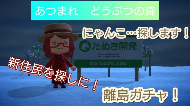 【あつ森】＃53、離島ガチャ！新住民を求めて・・・！にゃんこ来るまでやるぞっ！配信✨【あつまれ どうぶつの森】400日以上毎日連続配信！！