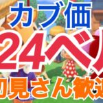 【あつ森とテトリス】カブ価624ベルなど　ライブ参加型