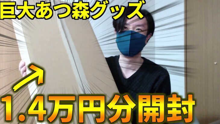 (あつ森)平たくて巨大な段ボールに1万4千円分のあつ森グッズが入ってたから開封します！(あつまれどうぶつの森)