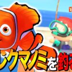 【あつ森】ファインディング・ニモ「カクレクマノミ」を釣る方法 ～Clownfish～【あつまれ どうぶつの森】