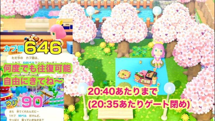 【あつ森】カブ価 646&ウリ 90(20:40あたりまで)【往復可能、自由にきてね～】