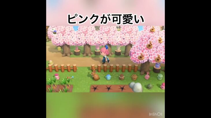 【あつ森ブログ】桜の季節を堪能　#animal #あつ森 #shorts