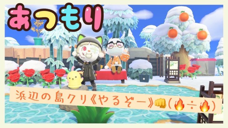 【あつ森】今日は、砂浜クリエイト！希望者が居れば料理レシピ開放します☆