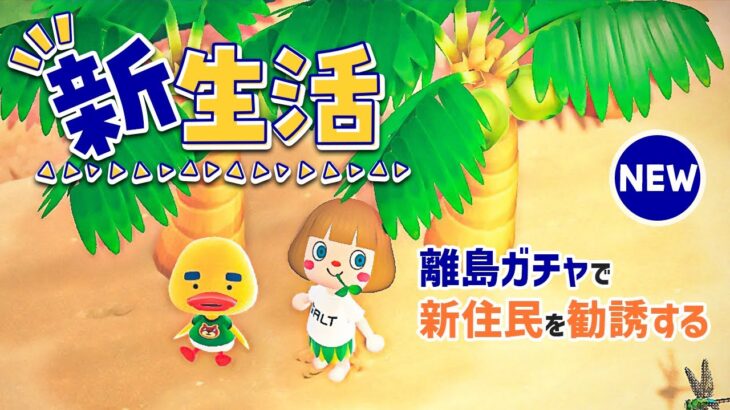 マイルを集めて離島ツア〜🏝まったりモードで奇跡よこ〜い！【あつ森】