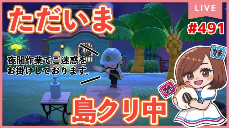 【あつ森ライブ配信中】姉妹で「あつまれ どうぶつの森」をのんびりプレイ！ #491〜のんびり島クリ〜【女性実況】【姉妹実況】