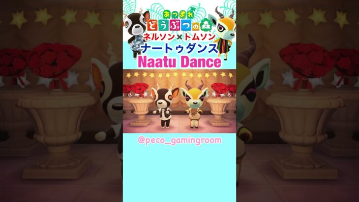 【あつ森】ナートゥダンス🎶Naatu Danceネルソン×トムソン #shorts #あつ森 #あつまれどうぶつの森 #animalcrossing #acnh #naatunaatu #rrr