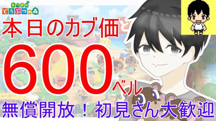 【あつ森】カブ価600ベルを無償開放。往復OK！カブ活しましょう！【あつまれどうぶつの森】【カブ活】【ライブ配信】