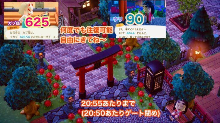 【あつ森】カブ価 625&ウリ 90(20:55あたりまで)【往復可能、自由にきてね～】