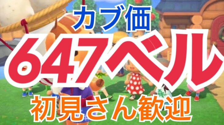 【あつ森とテトリス】カブ価647ベル643ベル603ベル602ベルなどライブ参加型