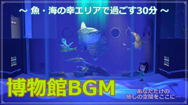 【あつ森】癒やしのBGM【30分耐久】～ 博物館 魚・海の幸エリア ～