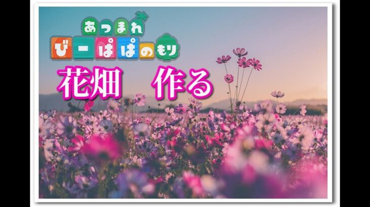 【あつ森】白とピンクの花畑を作る　島クリエイト回　Vol.311 童心を忘れないBIGPAPAのまったりゲーム実況　#あつ森　#ライブ配信