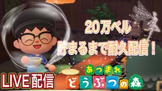 【あつ森】2０万ベル貯まるまで終われません！！耐久配信【生配信】【ゲーム実況】