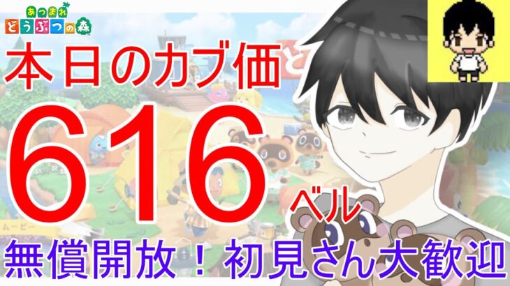 【あつ森】カブ価616ベルを無償開放。往復OK！カブ活しましょう！【あつまれどうぶつの森】【カブ活】【ライブ配信】