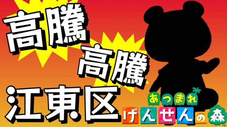 【あつ森】カブ厳選大会！目指せ660ベル【景品有り】