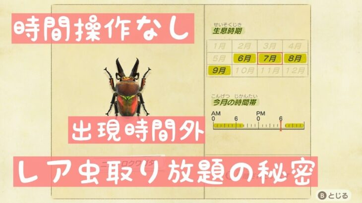 【あつ森】時間操作なし!!　出現時間外にレア虫に出会える秘密🤐の方法💡【時間操作なし】