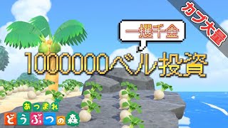 【あつ森】総プレイ2000時間越えが1からプレイ |一攫千金狙いで100万ベル投資💸🙄【あつまれどうぶつの森】