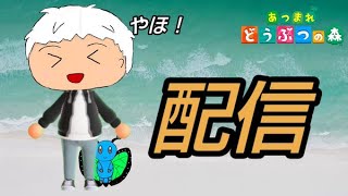 しろ、久々にあつ森やる「2023年8月18日」