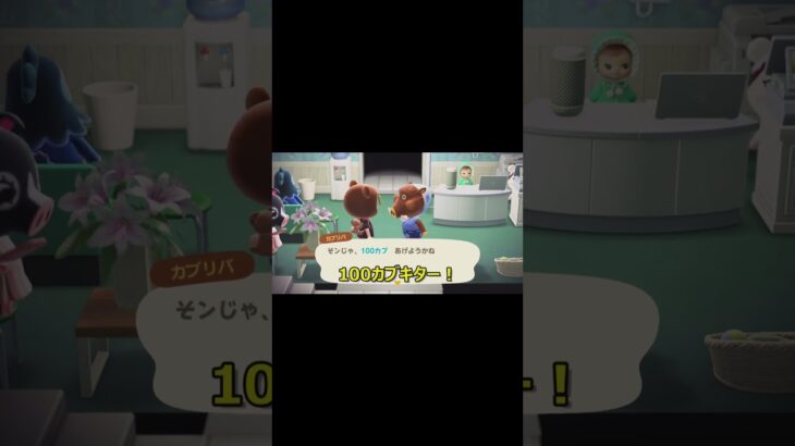 【あつ森Vlog】今週のカブリバ♪やったぜ１００カブゲット♪  #あつ森 #shorts #animalcrossing