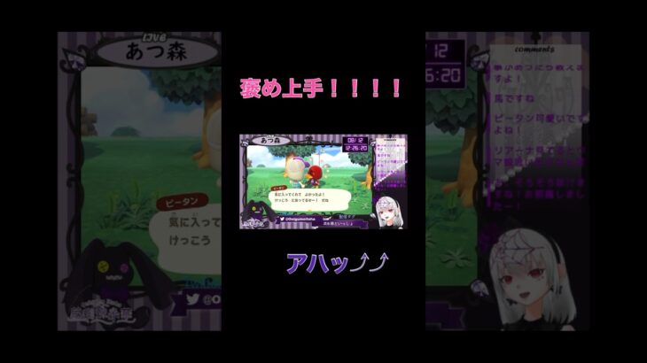 【あつ森】だんだん沼る様子が分かる動画。#個人vtuber #新人vtuber #あつ森