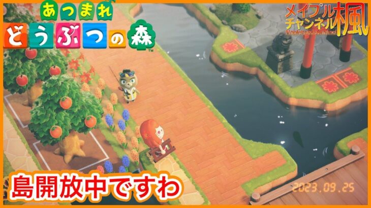 【あつ森】0925「メイプルかえで」の島 定点カメラですわ！’23【メイプル楓】