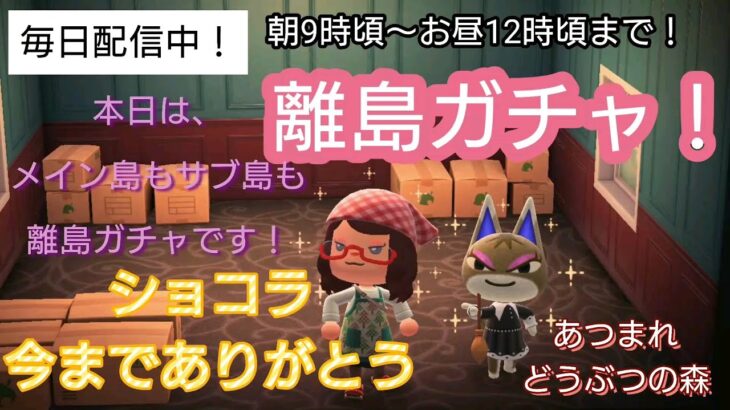 【あつ森】＃295、本日は離島ガチャ！サブ島ゴリラガチャ続き！！配信✨【あつまれ どうぶつの森】500日以上毎日連続配信！！（サブ91連目からゴリラが来るまで！）