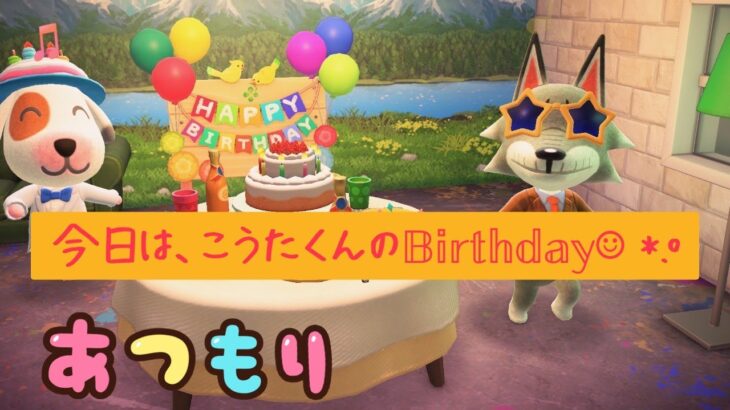 【あつ森】今日はこうたくんのbirthday♪