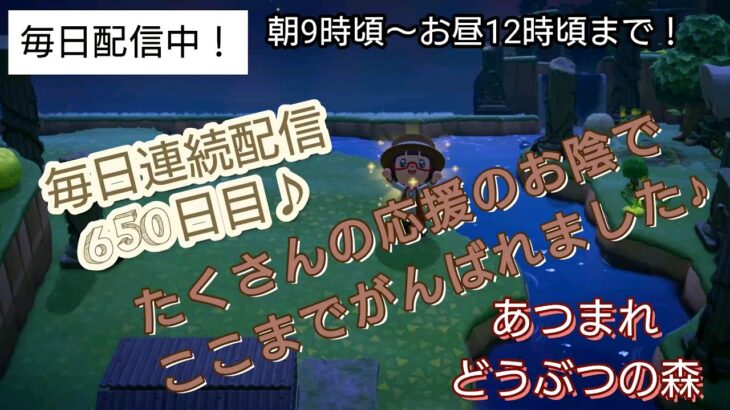 【あつ森】＃317、毎日連続配信650日突破！配信✨【あつまれ どうぶつの森】650日以上毎日連続配信！！