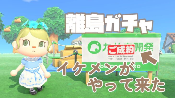 【あつ森】本命離島ガチャ開始！キャンプサイトでかっこいい子がやって来た/推し住民を探す旅【ACNH/Nintendo】