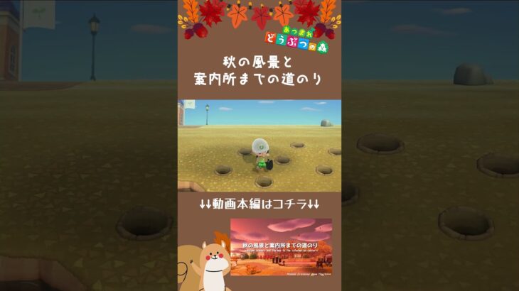 【あつ森】秋の風景と案内所までの道のりショートVer  |水辺の多い秋の島|Animal Crossing: New Horizons【島クリエイター】#Shorts #あつ森 #acnh