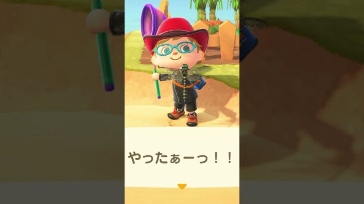 【あつ森】ちょっとめずらしい！？オニヤンマをつかまえたよ！【あつまれどうぶつの森】 #animalcrossing #どうぶつの森 #あつ森