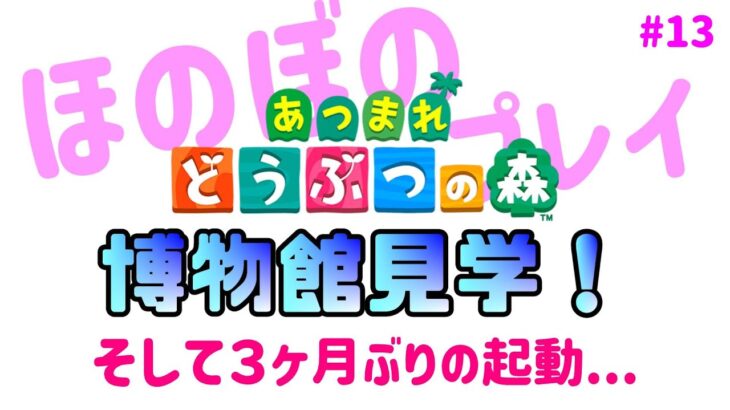 【あつまれどうぶつの森 #13】博物館見学！そして３ヶ月ぶりの起動…【あつ森】【ほのぼのプレイ】