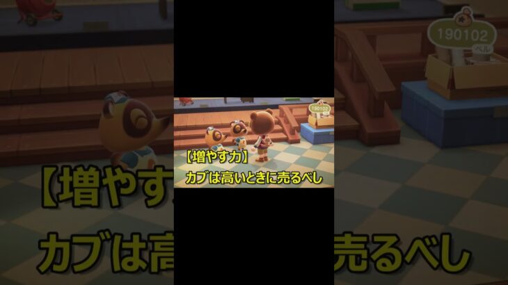 【あつ森Vlog】今日のカブ価は？利益確定しました！   #あつ森 #shorts #animalcrossing