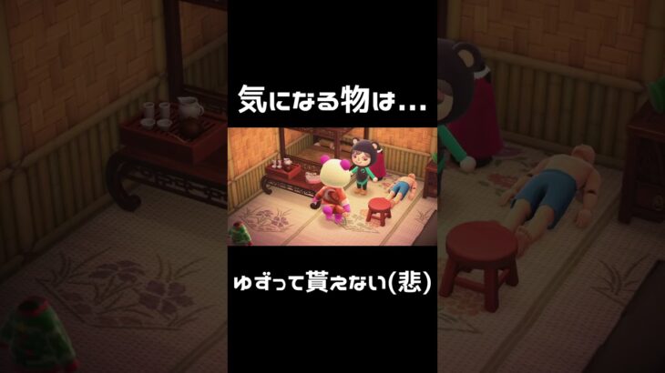 【あつ森】住民の自宅へ訪問🏠行く意味ってあるの?! 行く価値あり!!　大アリです💡　#shorts  ＃あつ森