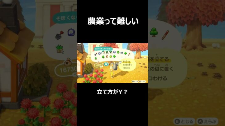 俺って農業向いてないのかな#shorts #あつ森 #ゲーム実況 #ゲーム #ハルカ #ニート