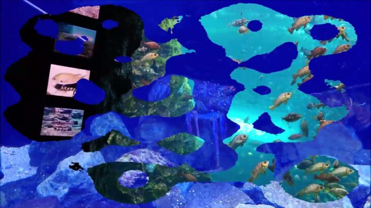 新潟旅行【３日目②】　あつ森コラボ　上越市立水族博物館うみがたり　2023年9月