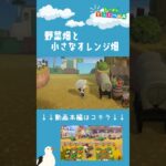 【あつ森】野菜畑と小さなオレンジ畑ショートVer| 水辺の多い秋の島|Animal Crossing: New Horizons【島クリエイター】#Shorts #島クリエイト#acnh