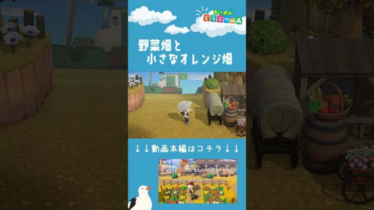 【あつ森】野菜畑と小さなオレンジ畑ショートVer| 水辺の多い秋の島|Animal Crossing: New Horizons【島クリエイター】#Shorts #島クリエイト#acnh