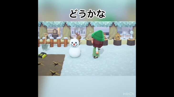 雪だるま作る　#animal #あつ森 #shorts