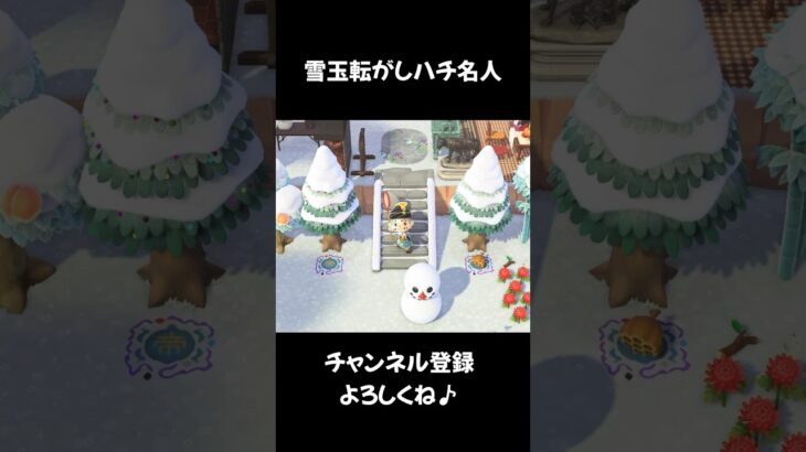 雪玉転がしハチ名人【あつ森ショート】#animalcrossing #あつまれ動物の森 #どうぶつの森