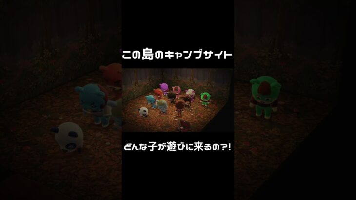 【あつ森】住民厳選🐻くま島。クマだらけの島のキャンプサイトで起こる変化💡くまがくまを引き寄せるのか?! #shorts