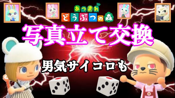 【あつ森・ライブ】　今年最後の写真立て交換会　男気サイコロ勝負も！勝負勝負～　『視聴者参加型』