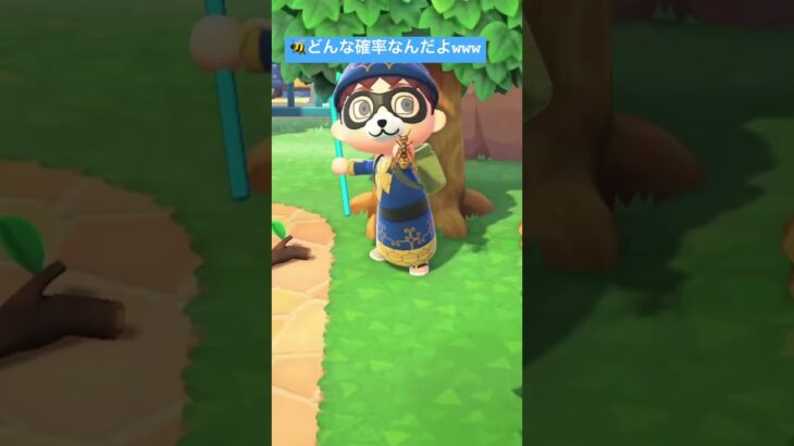 【あつ森】奇跡の確率を引いてしまいましたwwww【あつまれどうぶつの森】【Animal Crossing: New Horizons】【ACNH】