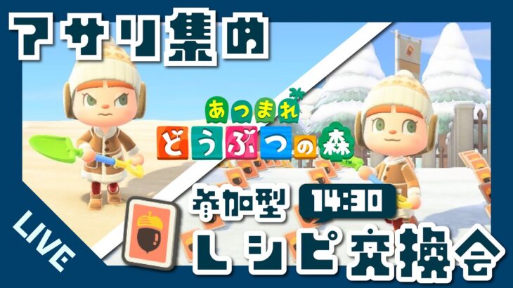 【#あつ森】前半アサリ集めと14:30～【参加型】レシピ交換会　初見歓迎/雑談配信