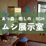【あつ森】 博物館BGM 🦋 ムシ展示室 １時間 【BGM／実況なし】