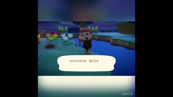 夜の釣り〜#animal #あつ森 #shorts