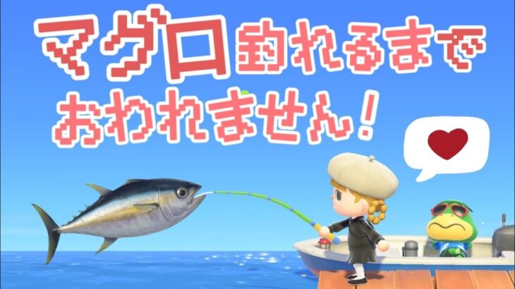 マグロ釣るまでおわれません！耐久生配信！【あつ森】