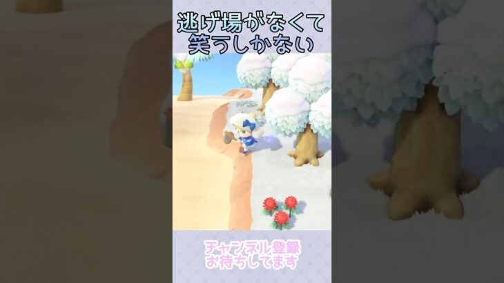 【あつ森】逃げ切りたい気持ちはある　#あつ森 #vtuber #animalcrossing #ゲーム実況